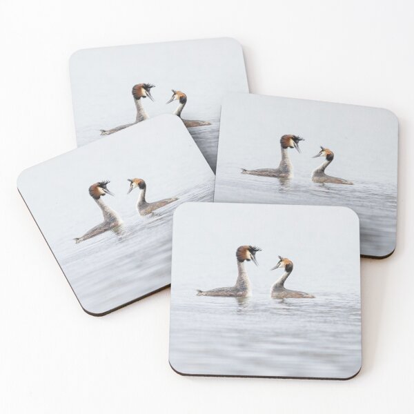Item preview, Two Grebes designed and sold by Alec Stewart.