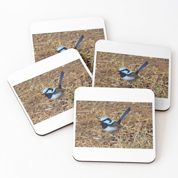 Item preview, Male Fairy Wren designed and sold by Captured-Adventures11.