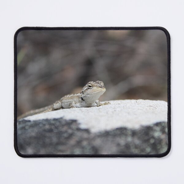 Item preview, Bearded Dragon designed and sold by Captured-Adventures11.