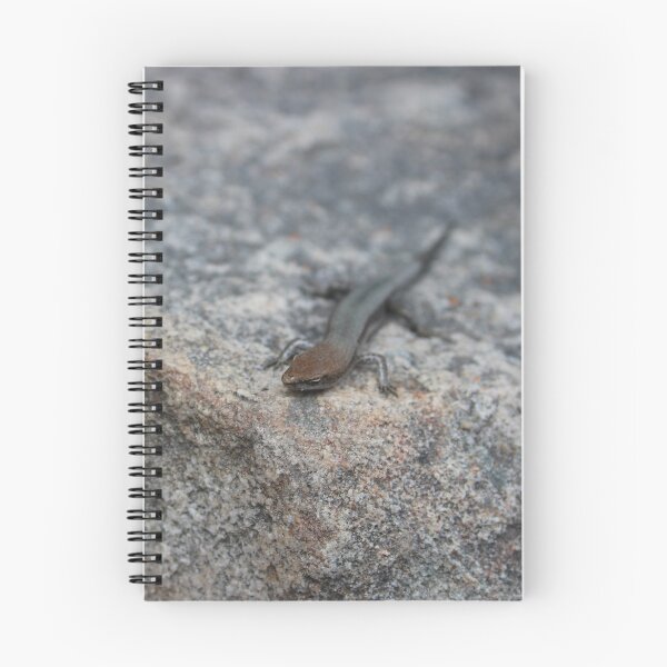 Item preview, Delicate Garden Skink designed and sold by Captured-Adventures11.