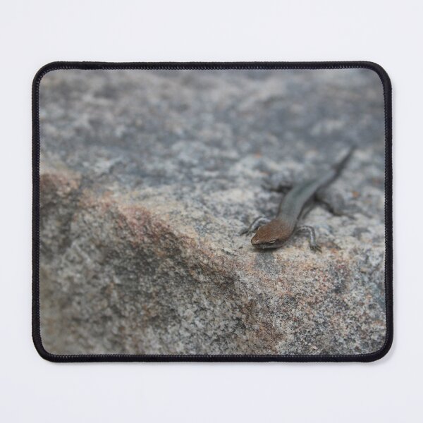 Item preview, Delicate Garden Skink designed and sold by Captured-Adventures11.