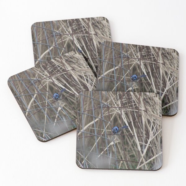 Item preview, Fairy Wren in the Reeds designed and sold by Captured-Adventures11.