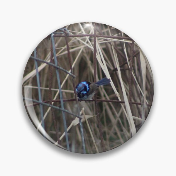 Item preview, Fairy Wren in the Reeds designed and sold by Captured-Adventures11.