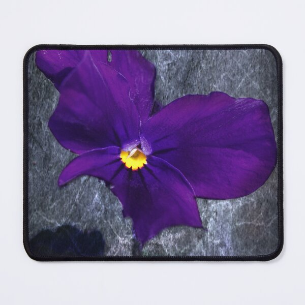 Item preview, Resilience designed and sold by Siene Browne.