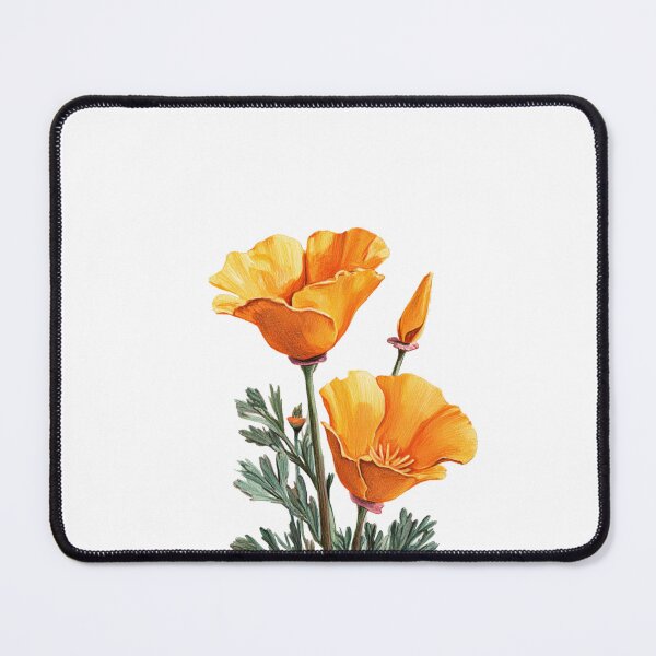 Item preview, California Poppies Sticker Wildflower Aesthetic Floral Design designed and sold by Panqpond.