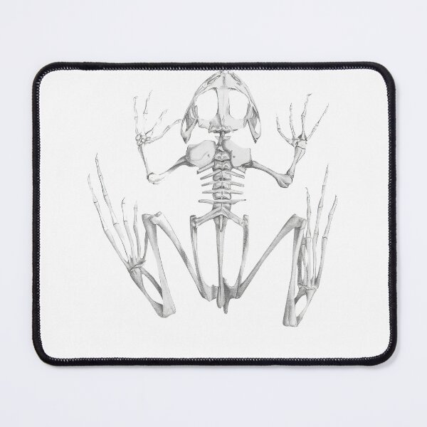 Item preview, Frog Skeleton designed and sold by AShanDome.