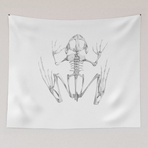Item preview, Frog Skeleton designed and sold by AShanDome.