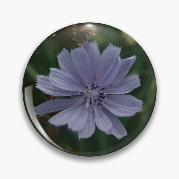 Item preview, Pale Blue Chicory designed and sold by gistinker.