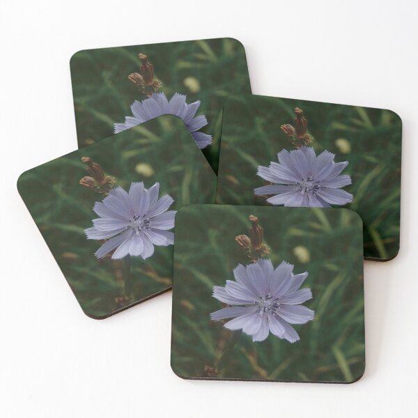 Item preview, Pale Blue Chicory designed and sold by gistinker.