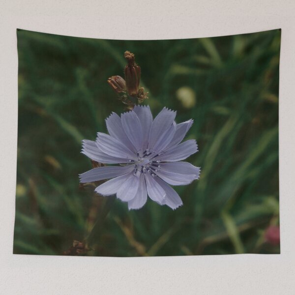 Item preview, Pale Blue Chicory designed and sold by gistinker.