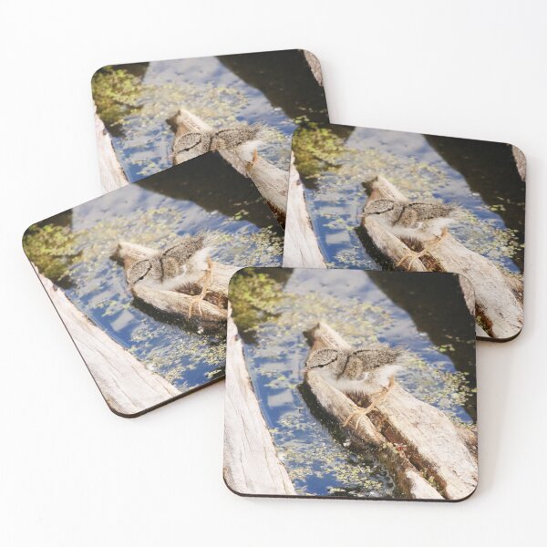 Item preview, Spotted Sandpiper Chick designed and sold by Alyce Taylor.
