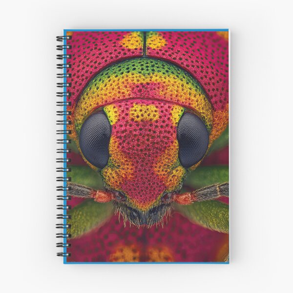 Item preview, This beetle's shell is a masterpiece of nature. designed and sold by Piotrek0001.