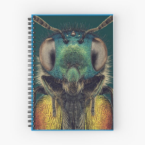 Item preview, The mesmerizing symmetry of a colorful insect's face. designed and sold by Piotrek0001.