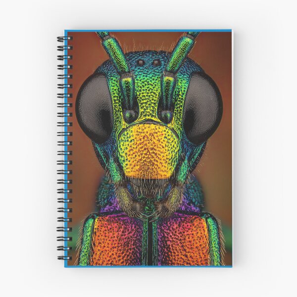 Item preview, The bold and beautiful colors of the insect kingdom. designed and sold by Piotrek0001.