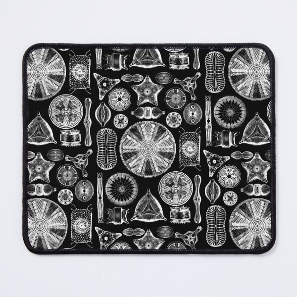 Item preview, Ernst Haeckel Diatoms - outline only in white designed and sold by aimeewilson.