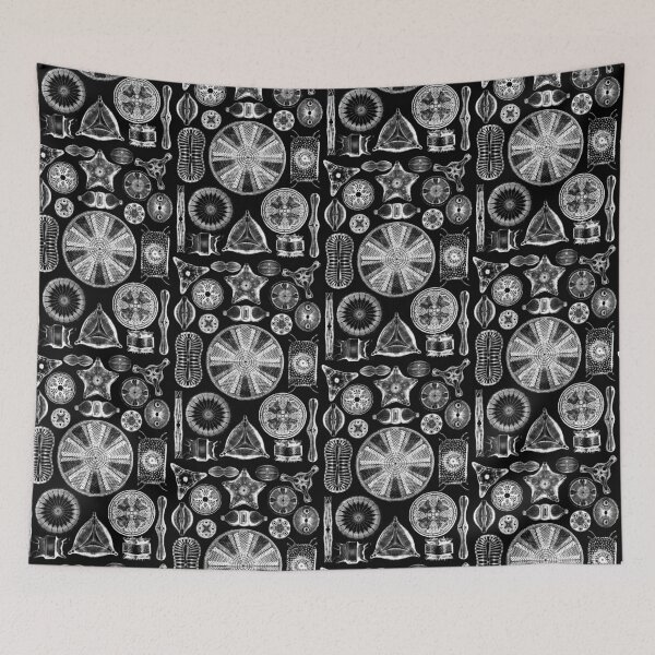 Item preview, Ernst Haeckel Diatoms - outline only in white designed and sold by aimeewilson.