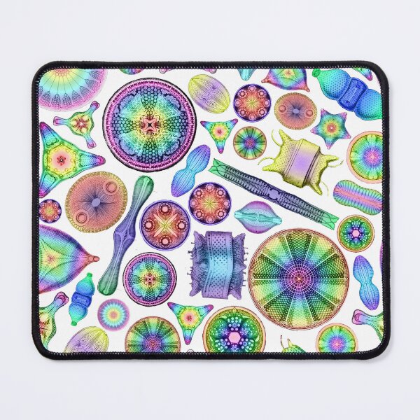 Item preview, Ernst Haeckel Rainbow Diatoms on Black designed and sold by aimeewilson.