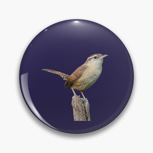 Item preview, Thryothorus Wren Wild Bird Vector designed and sold by taiche.