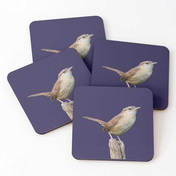 Item preview, Thryothorus Wren Wild Bird Vector designed and sold by taiche.