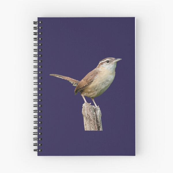 Item preview, Thryothorus Wren Wild Bird Vector designed and sold by taiche.