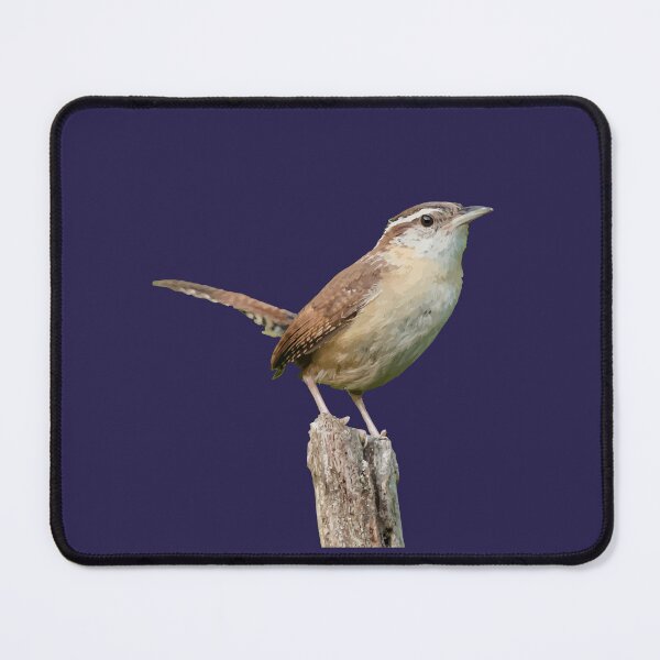 Item preview, Thryothorus Wren Wild Bird Vector designed and sold by taiche.
