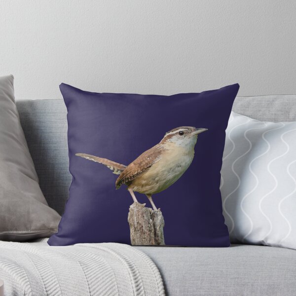 Item preview, Thryothorus Wren Wild Bird Vector designed and sold by taiche.