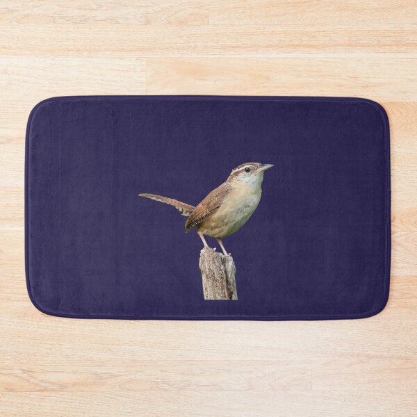 Item preview, Thryothorus Wren Wild Bird Vector designed and sold by taiche.