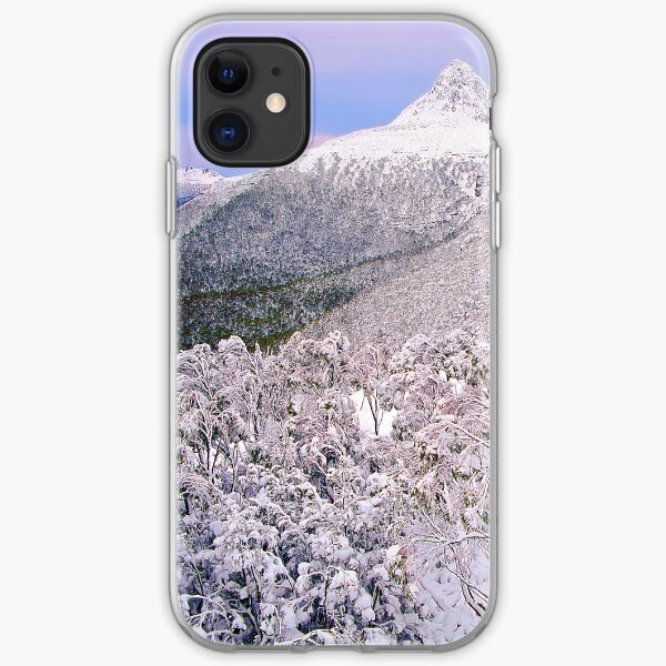 Winter, the Ducane Range iPhone Soft Case