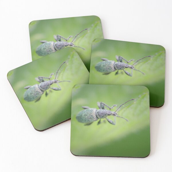 Item preview, Nettle Weevil designed and sold by Alec Stewart.