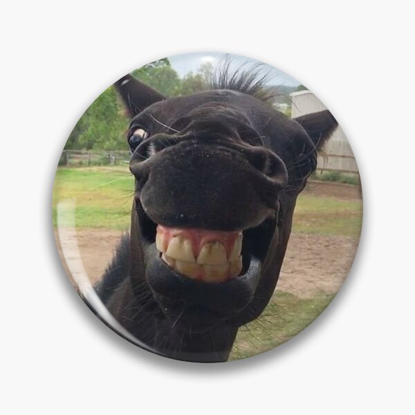 Item preview, Black Horse Big Grin - Horses Meme Face designed and sold by Trialloja.