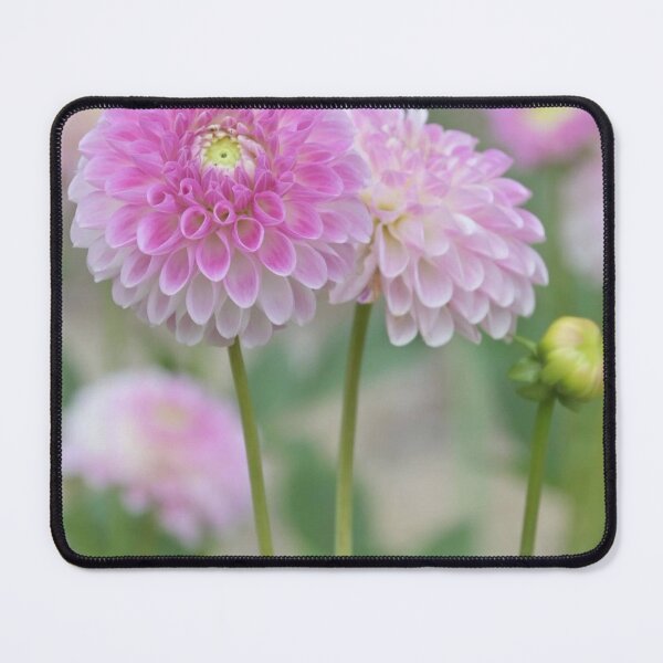 Item preview, Crimson 7 Rose 7eleven Elegance Seven designed and sold by Juan Manuel Piña.
