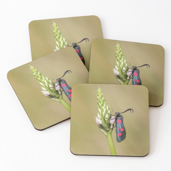 Item preview, Five Spot Burnett Moth designed and sold by Alec Stewart.