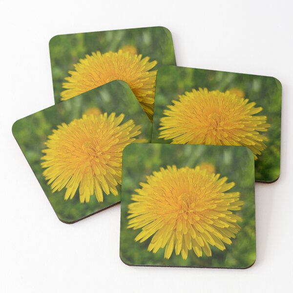 Item preview, Extreme Closeup Dandelion designed and sold by Quincy-Hedgehog.