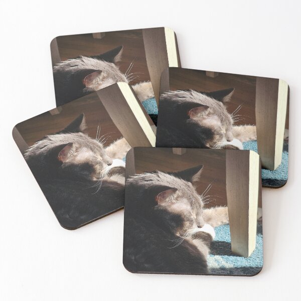 Item preview, Cat Sleeping in Sun designed and sold by Quincy-Hedgehog.