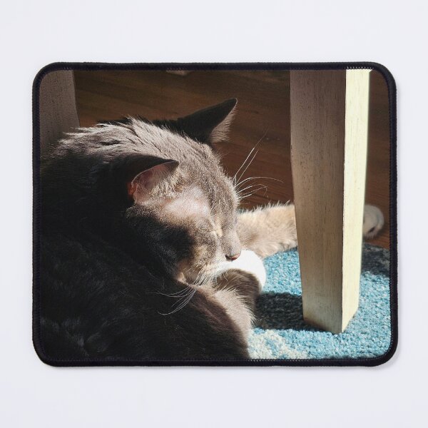 Item preview, Cat Sleeping in Sun designed and sold by Quincy-Hedgehog.