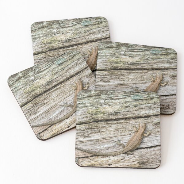 Item preview, Common Lizard designed and sold by Alec Stewart.