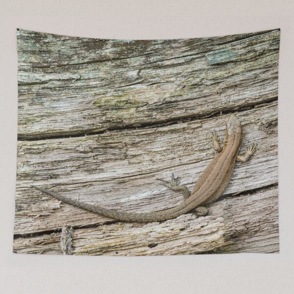 Item preview, Common Lizard designed and sold by Alec Stewart.