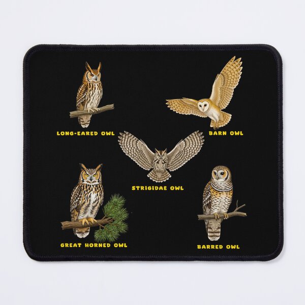 Item preview, Owl Species designed and sold by TeeARTHY.
