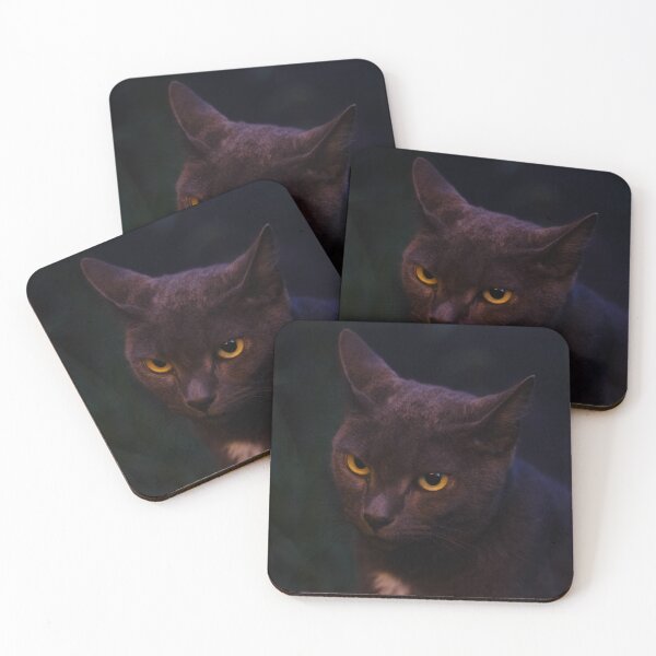 Item preview, Nighttime Annie Cat designed and sold by PhotoArtbyGrace.