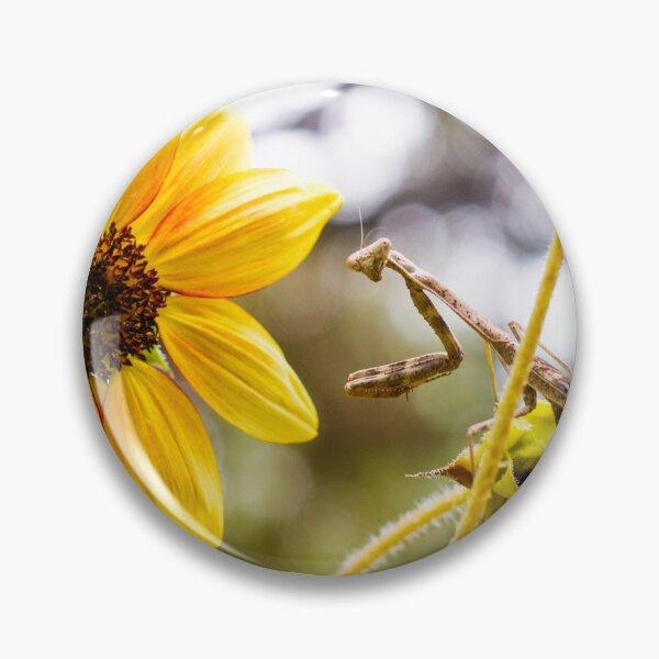 Item preview, Mantis on Sunflower designed and sold by PhotoArtbyGrace.