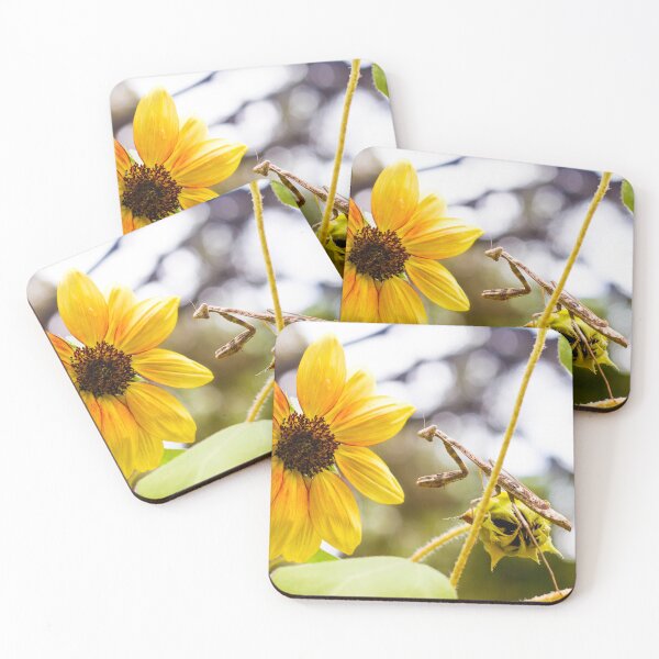 Item preview, Mantis on Sunflower designed and sold by PhotoArtbyGrace.