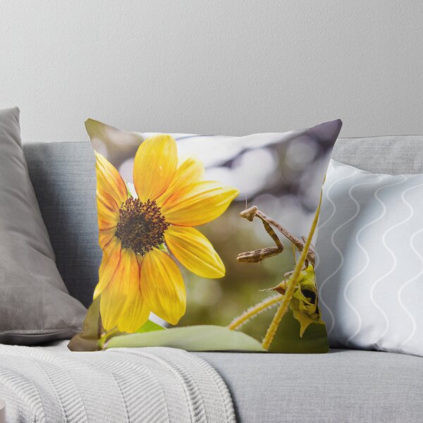 Item preview, Mantis on Sunflower designed and sold by PhotoArtbyGrace.