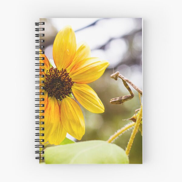 Item preview, Mantis on Sunflower designed and sold by PhotoArtbyGrace.
