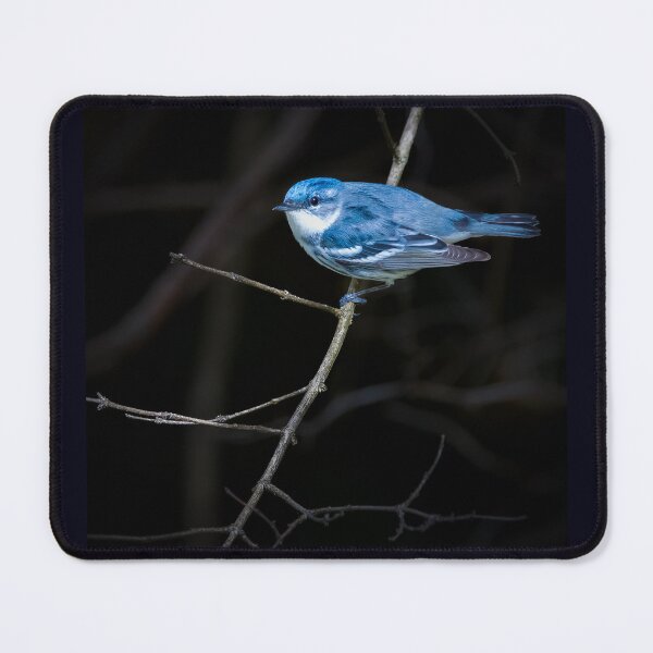 Item preview, Cerulean Warbler  designed and sold by Shannon Emmel .