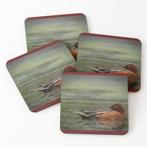 Item preview, Cinnamon Teal Resting  designed and sold by Shannon Emmel .