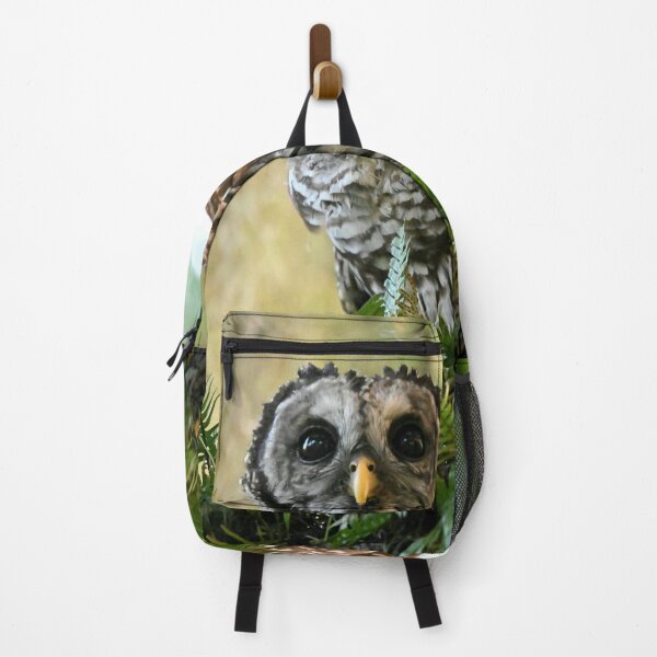 Item preview, Barred Owl designed and sold by Glennphotos.