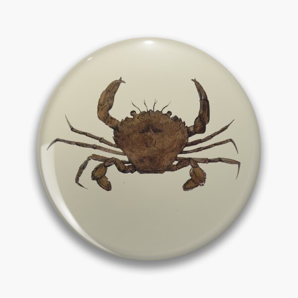 Item preview, Vintage Illustration of a Brown Crab designed and sold by KALEIDOSCOPE UK.