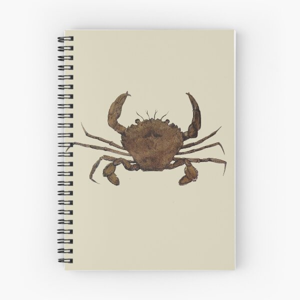 Item preview, Vintage Illustration of a Brown Crab designed and sold by KALEIDOSCOPE UK.