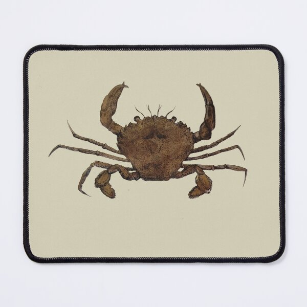 Item preview, Vintage Illustration of a Brown Crab designed and sold by KALEIDOSCOPE UK.