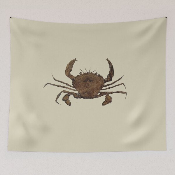 Item preview, Vintage Illustration of a Brown Crab designed and sold by KALEIDOSCOPE UK.